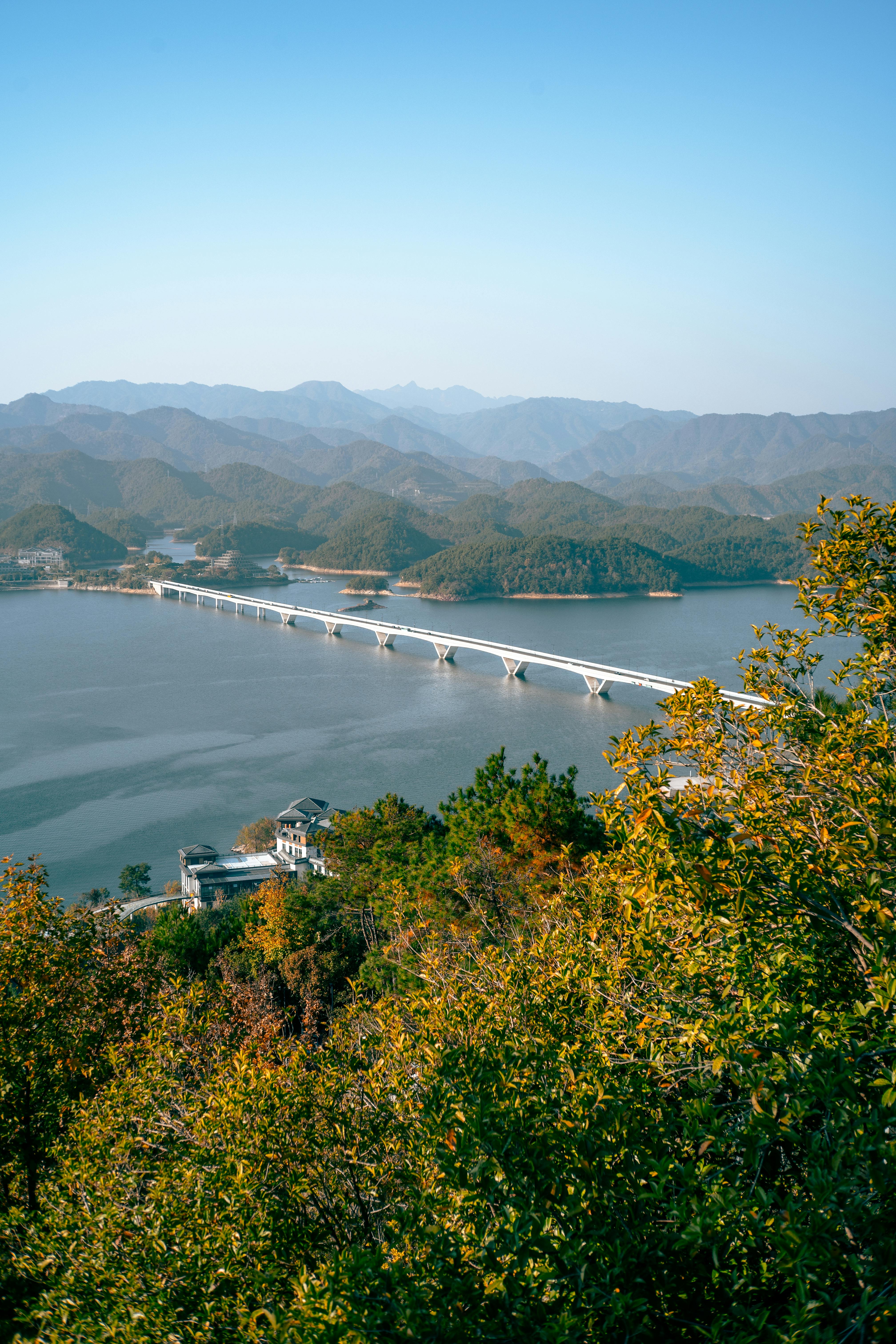 重庆：“十五五”从六方面发力扩大高水平对外开放 - 图片1