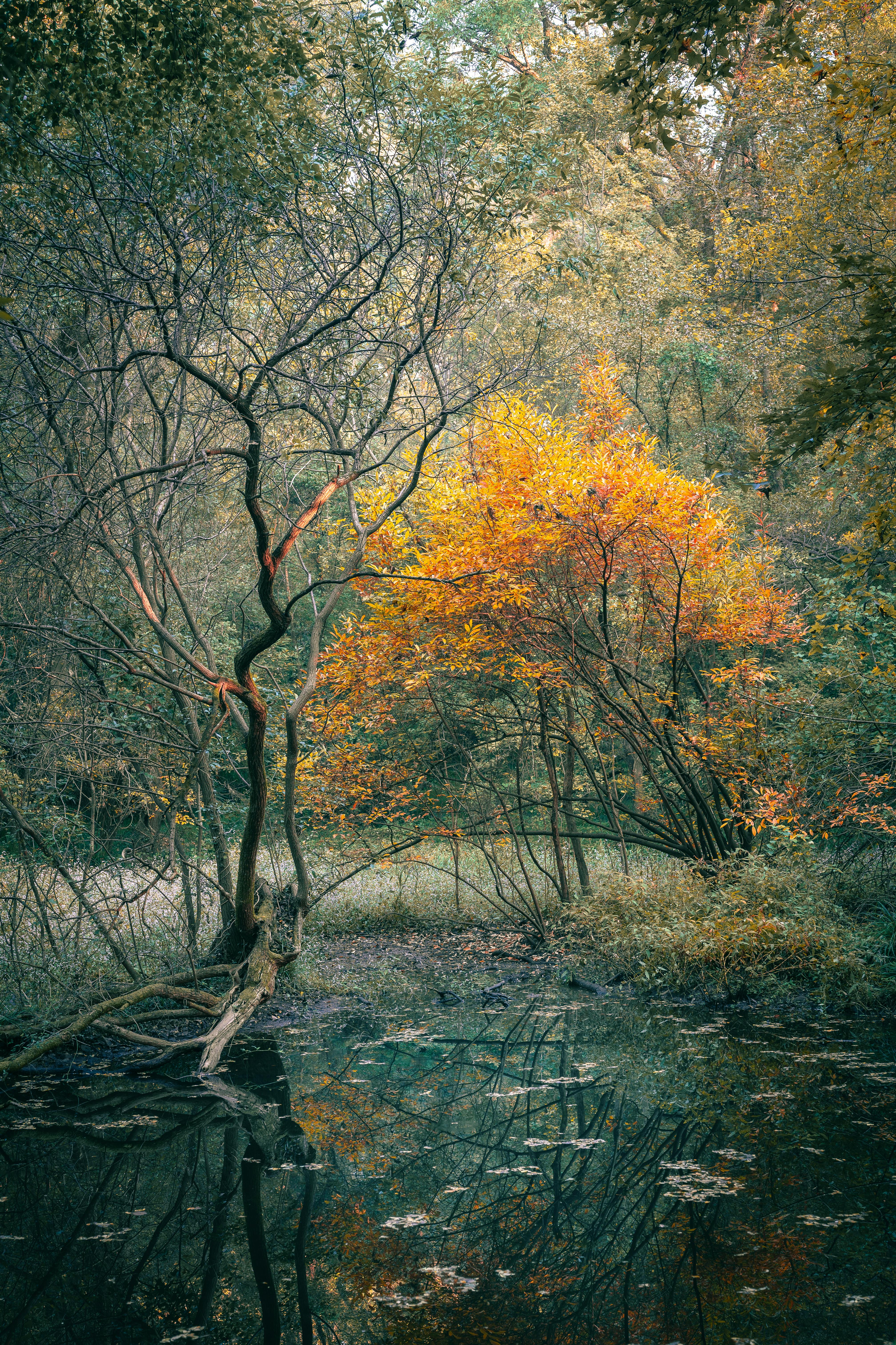 超470家人工智能企业集聚 杭州上城“CID”图景加速绘就 - 图片1