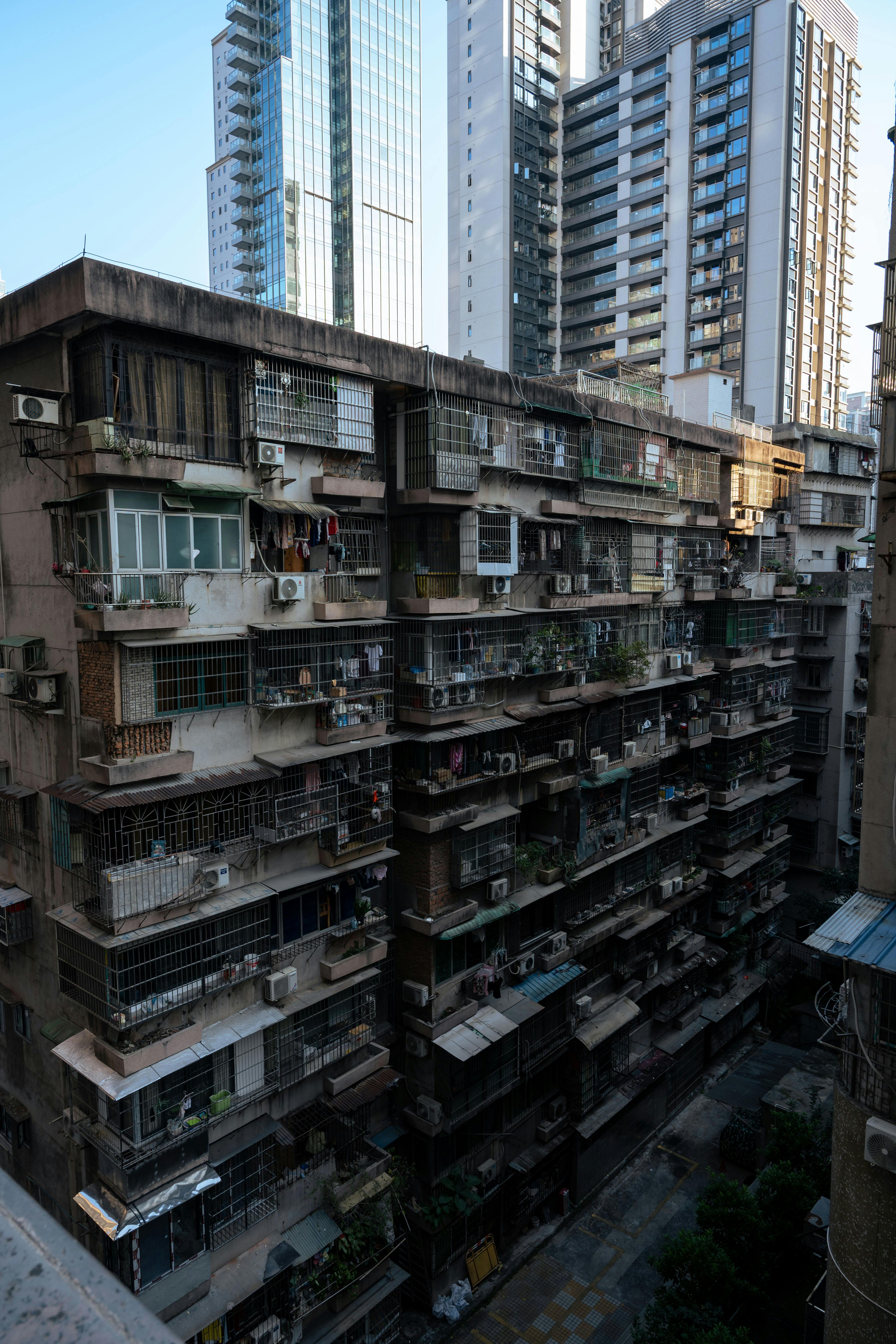 玻利维亚中部发现全球最大规模恐龙足迹群 - 图片1